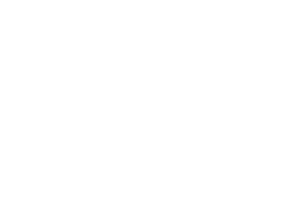 selo-ajor-transparente-300×202.png